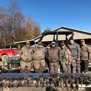 Meet your Posher, Joe